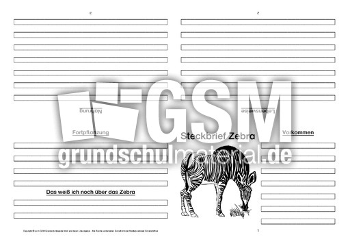 Zebra-Faltbuch-vierseitig-1.pdf